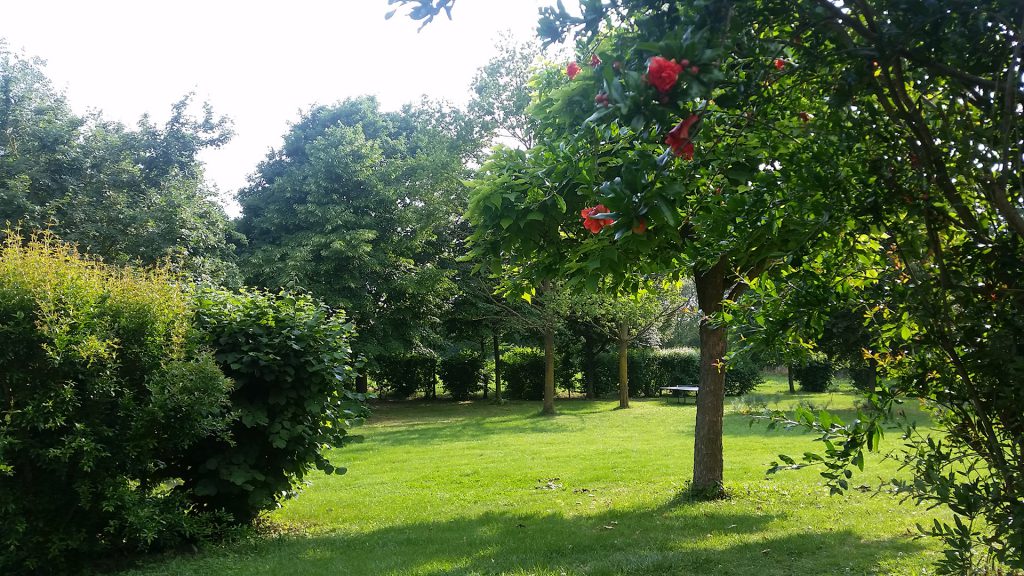 Agriturismo Lemene - Il giardino